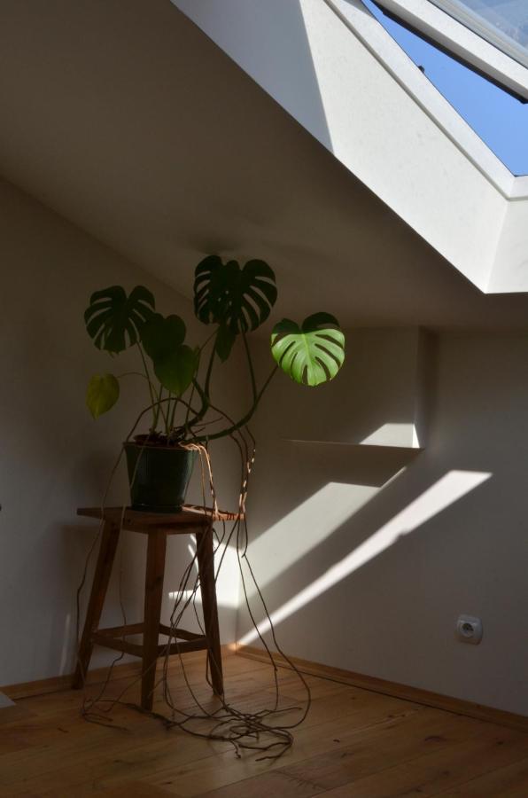 Poddasze na Starym Podgórzu Apartamento Cracovia Exterior foto